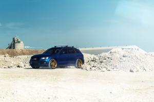 Audi SQ5 TFSI on ADV.1 Wheels (ADV06MV2CS) 2015 года 